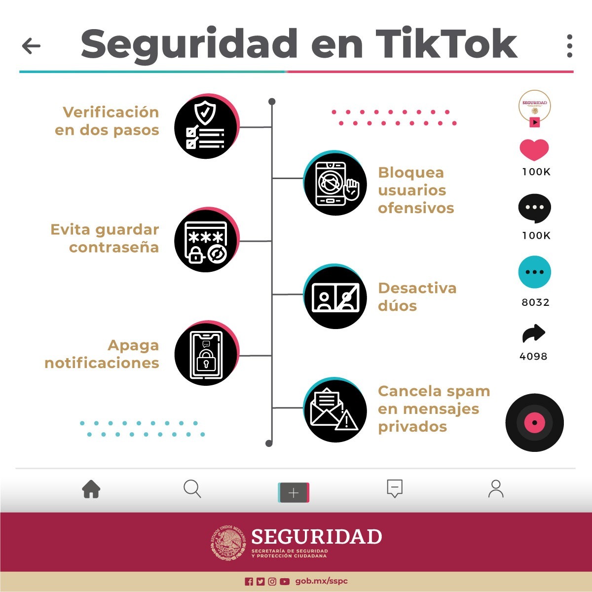 Seguridad en Tik Tok