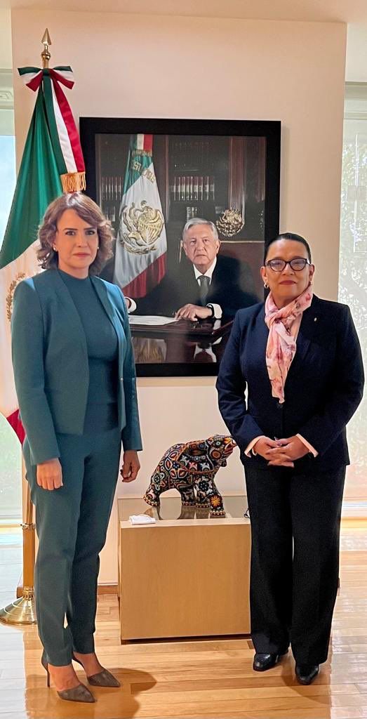 Clara Luz Flores Carrales, nueva titular del SESNSP de la SSPC