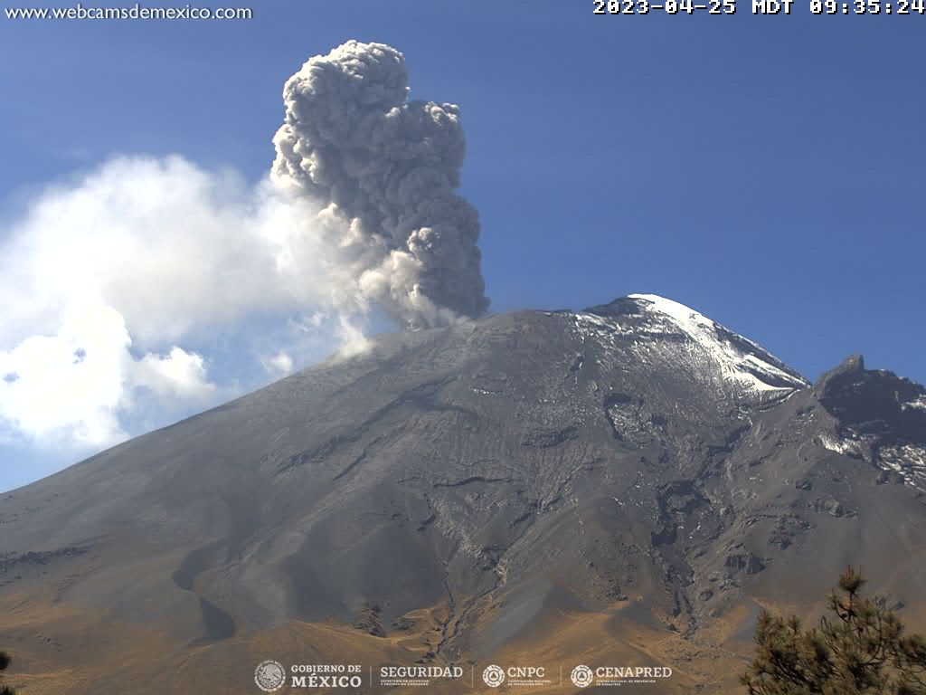 CENAPRED registra 200 exhalaciones en el Popocatépetl