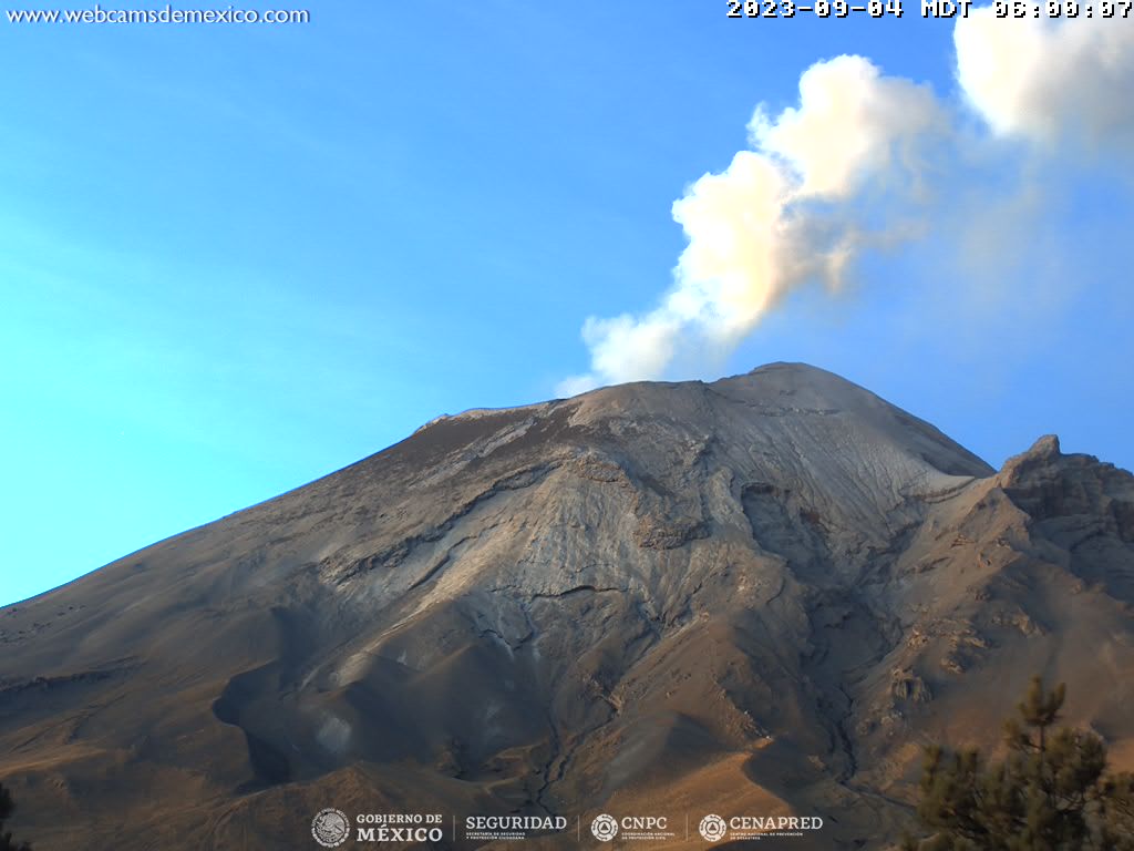 CENAPRED registra 81 exhalaciones del Popocatépetl