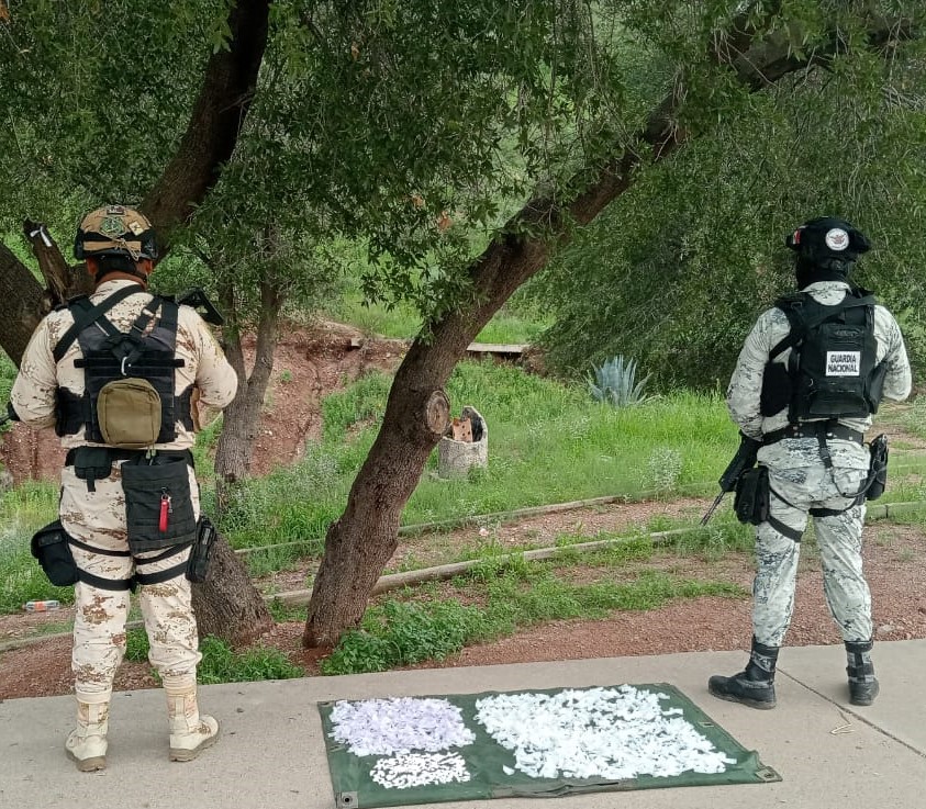 En 4 entidades, Guardia Nacional y Ejército Mexicano aseguran más de 5,000 dosis de posible cristal, cocaína y marihuana