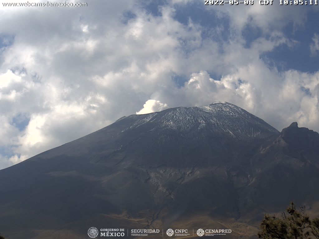 Registra volcán Popocatépetl 11 exhalaciones