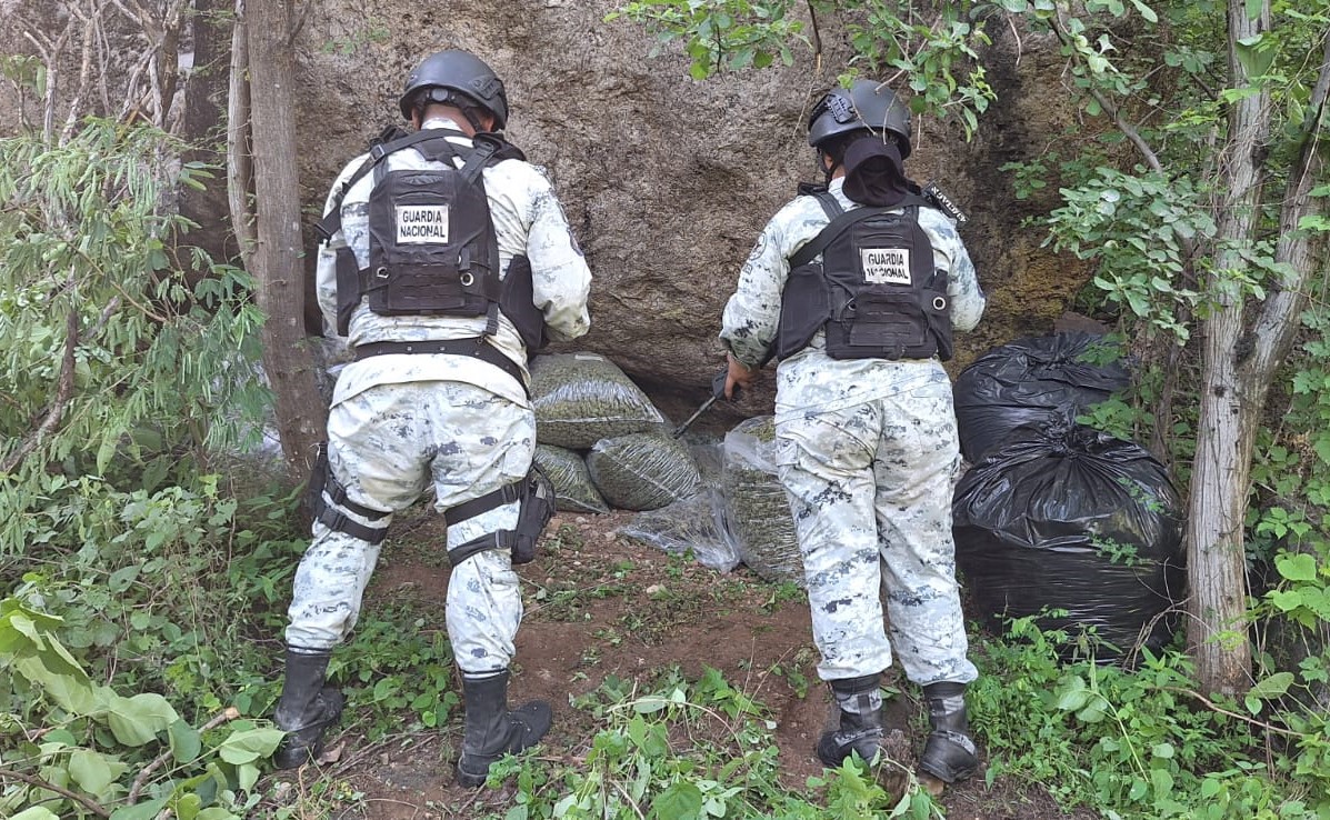 En Jalisco, Guardia Nacional localiza posible marihuana oculta en 22 bolsas para basura