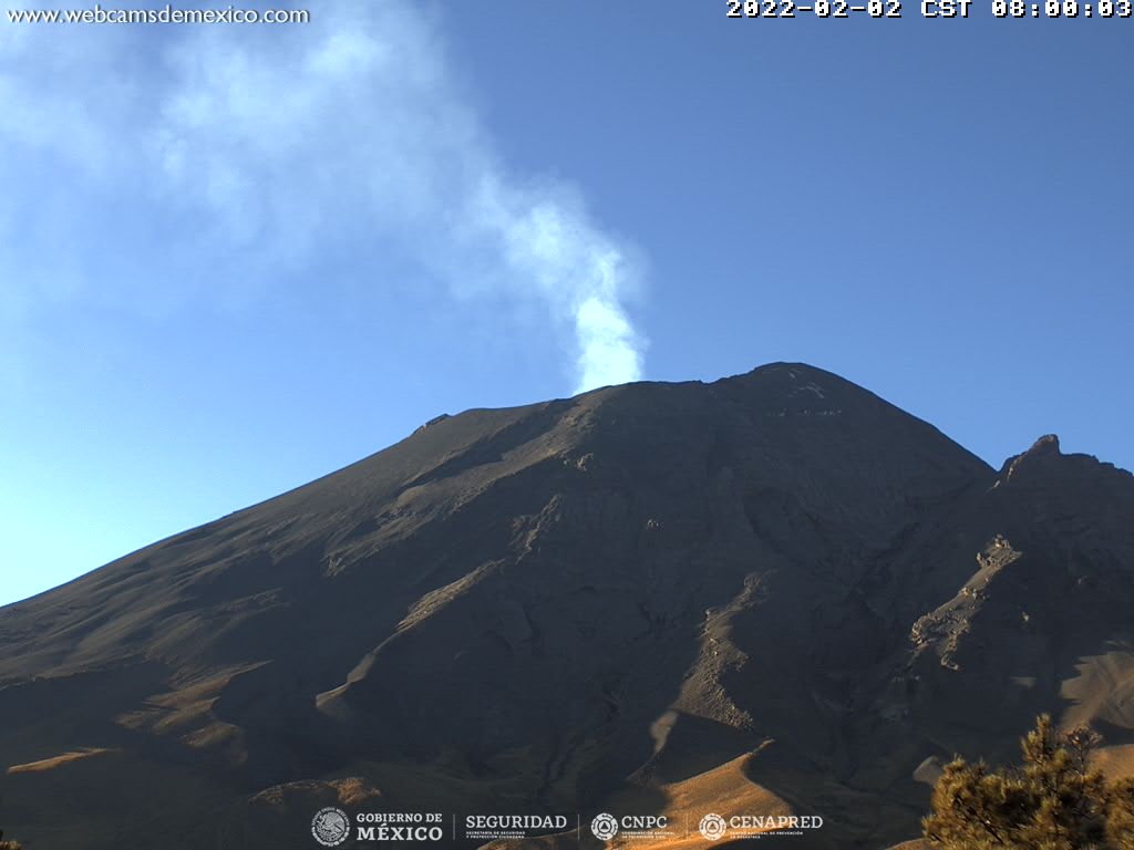 Volcán Popocatépetl registra intensa actividad: 62 exhalaciones  de baja intensidad, acompañadas de ligeras cantidades de ceniza 