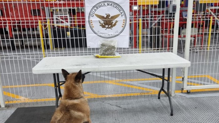 Guardia Nacional y Ejército decomisan aparente marihuana, heroína y metanfetamina en Querétaro