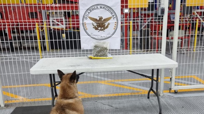 En aeropuerto de Querétaro Guardia Nacional y Ejército Mexicano aseguran aparente crystal y marihuana