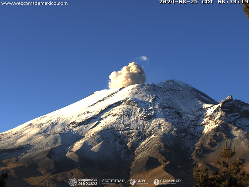 CENAPRED reporta 37 exhalaciones y 48 minutos de tremor del Popocatépetl