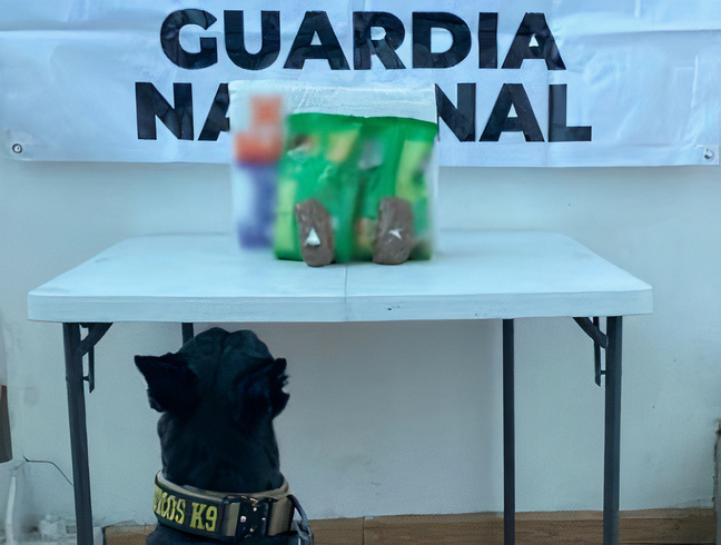 Binomio canino de la Guardia Nacional detecta aparente crystal escondido entre croquetas para perro