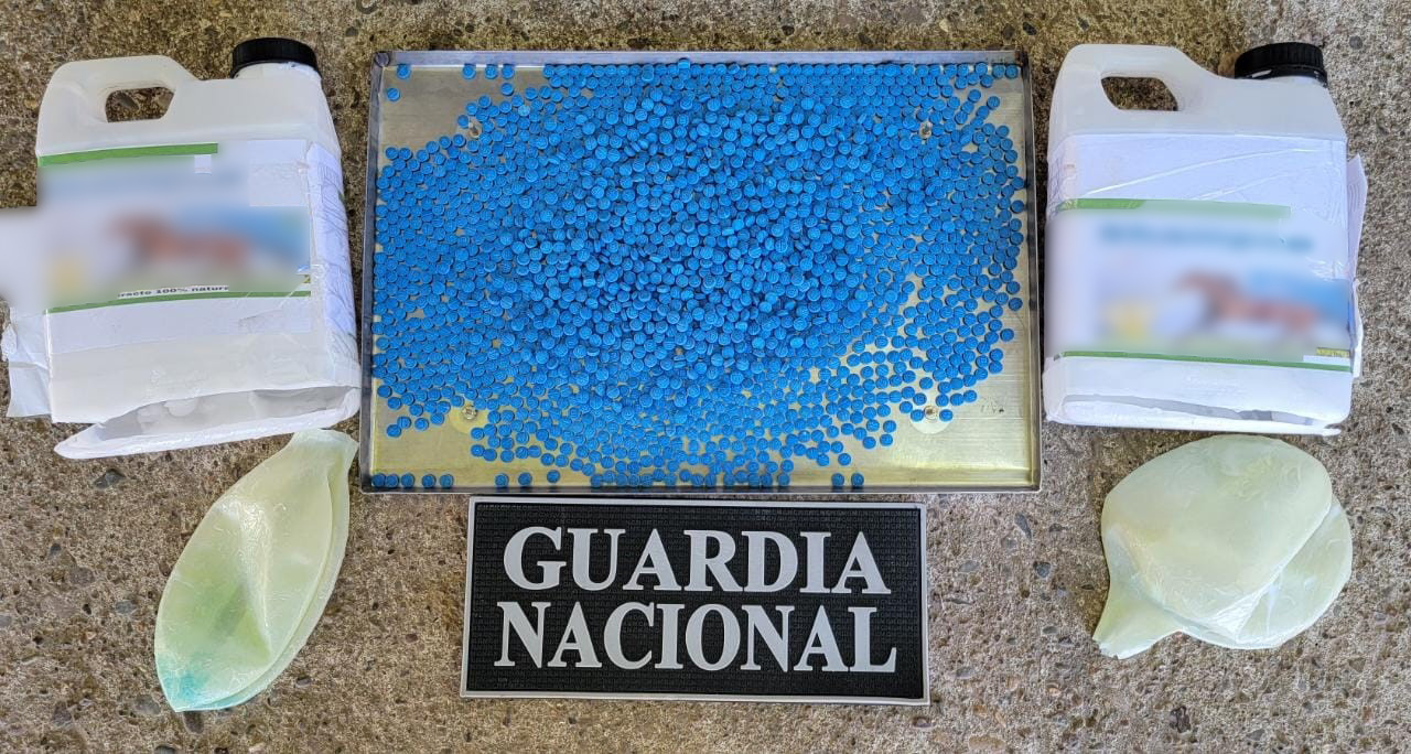 Binomios caninos de la Guardia Nacional encuentran pastillas de aparente fentanilo en Culiacán