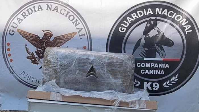 Binomio canino de la Guardia Nacional detecta aparente marihuana en Jalisco