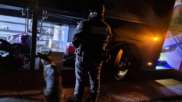 Binomio canino de Guardia Nacional detecta aparente marihuana en camión de pasajeros