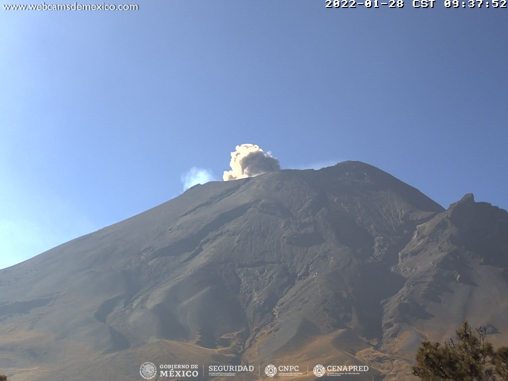 Se reportan 61 exhalaciones  de baja intensidad, acompañadas de ligeras cantidades de ceniza en el Popocatépetl