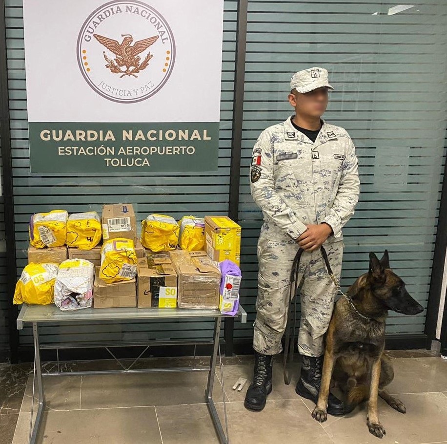 En el Estado de México, binomio canino de la guardia nacional detecta 18 paquetes con posible marihuana