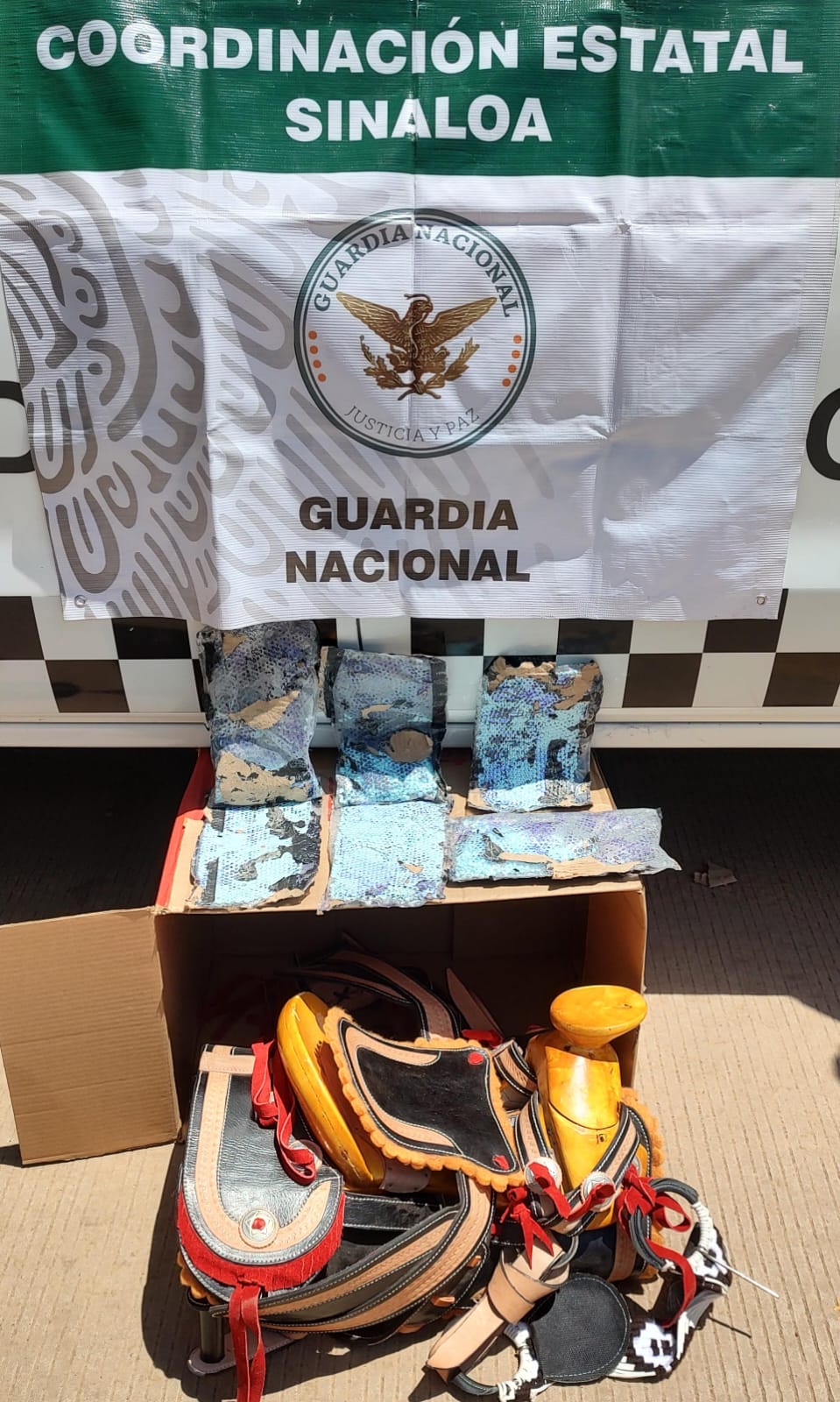 En Sinaloa, Guardia Nacional asegura 10 mil pastillas de fentanilo ocultas en envío de mensajería con montura para caballo