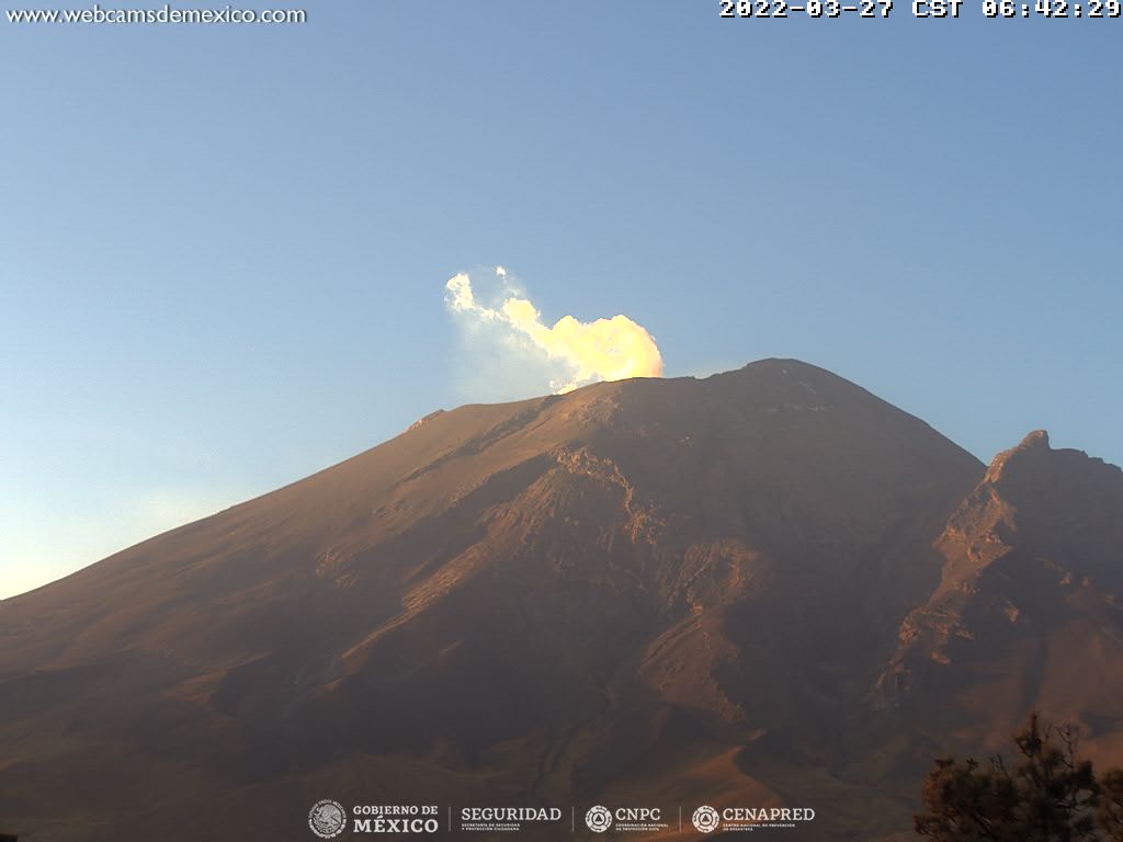 Durante las últimas 24 horas, Popocatépetl ha emitido 14 exhalaciones