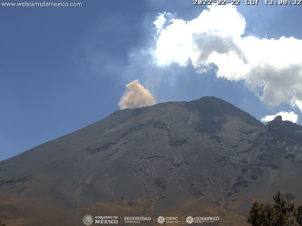 En las últimas 24 horas se registraron 41 exhalaciones de baja intensidad y un sismo volcanotectónico en el Popocatépetl