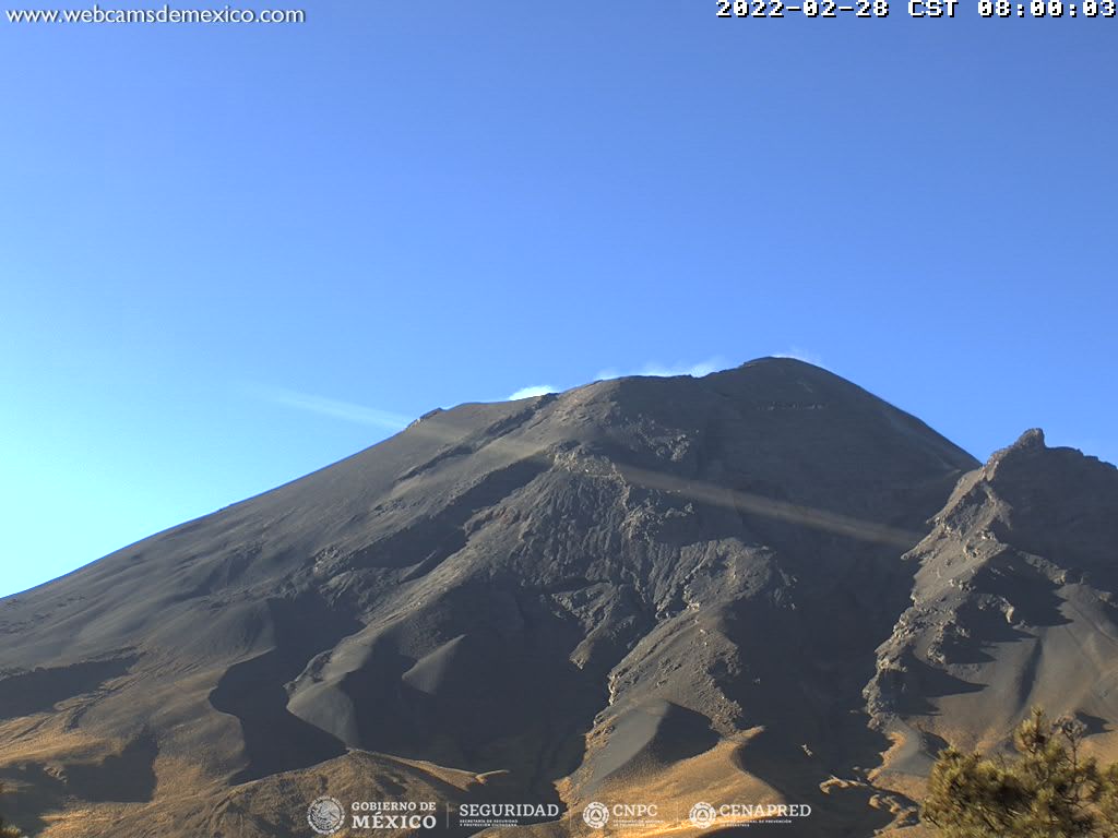 Volcán Popocatépetl cierra febrero con 35 exhalaciones de baja intensidad y 426 minutos de tremor 