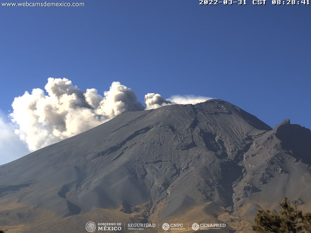 Detectaron 25 exhalaciones y ocho minutos de tremor en el Popocatépetl