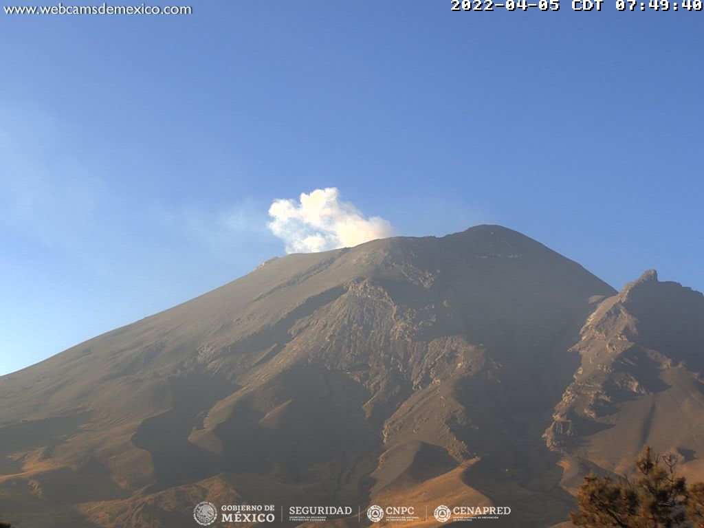 CENAPRED reporta amarillo fase 2 luego de 15 exhalaciones en el Popocatépetl