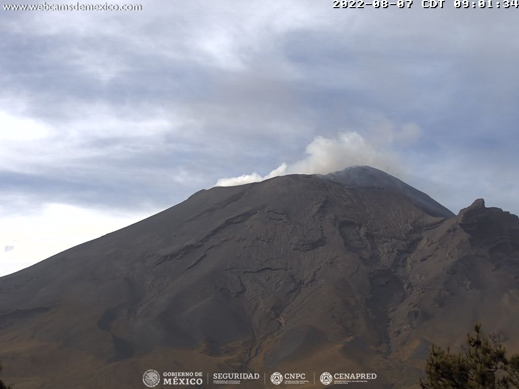 Popocatépetl reporta 49 exhalaciones en las últimas 24 horas