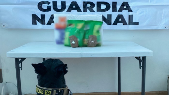 Binomio canino de la Guardia Nacional detecta aparente crystal escondido entre croquetas para perro