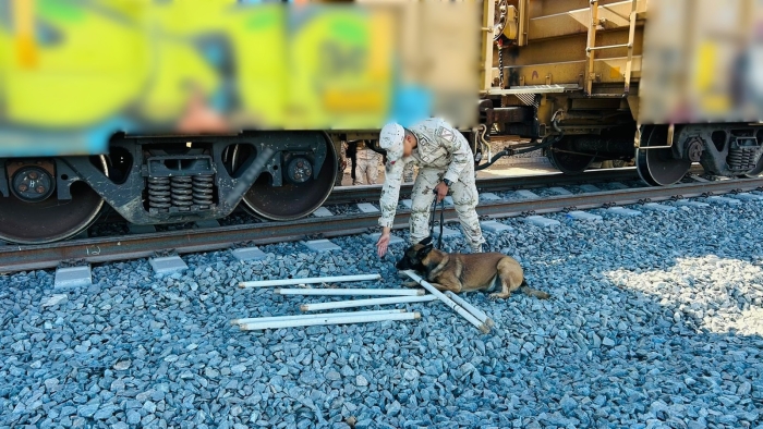 En Sonora, Guardia Nacional y Ejército Mexicano aseguran aparente metanfetamina y fentanilo ocultos en tubos de PVC En Sonora, Guardia Nacional y Ejército Mexicano aseguran aparente metanfetamina y fentanilo ocultos en tubos de PVC