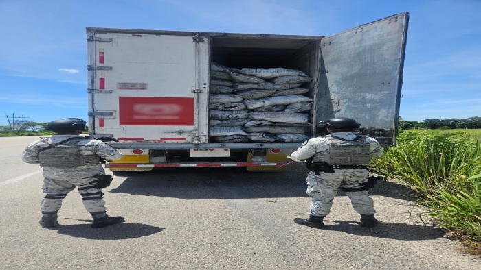 En Campeche, Guardia Nacional asegura vehículo de carga con 21.6 toneladas de carbón vegetal