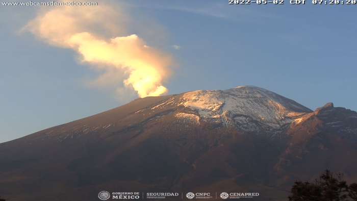 Presenta Popocatépetl 15 minutos de tremor de baja amplitud