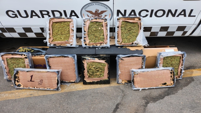 En Zacatecas, Guardia Nacional asegura aparente marihuana oculta en 10 cuadros de madera En Zacatecas, Guardia Nacional asegura aparente marihuana oculta en 10 cuadros de madera