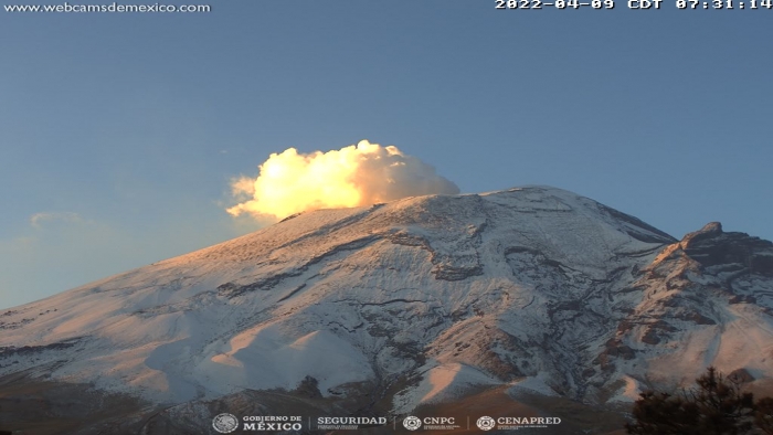 Durante las últimas 24 horas se registraron siete exhalaciones de baja intensidad en el Popocatépetl