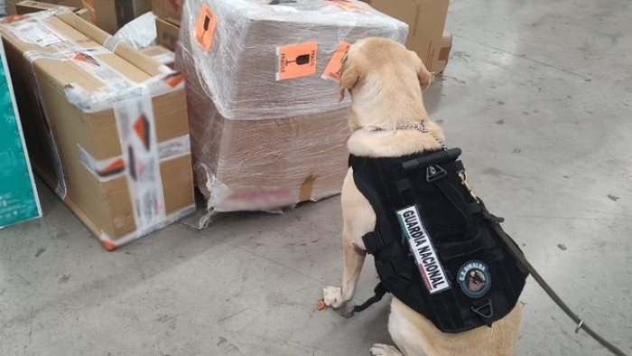 En Sinaloa, Guardia Nacional detecta jarrón de cerámica que ocultaba paquetes con aparente marihuana