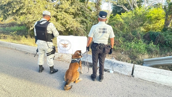 Guardia Nacional localiza aparente metanfetamina en garrafa de detergente líquido para ropa