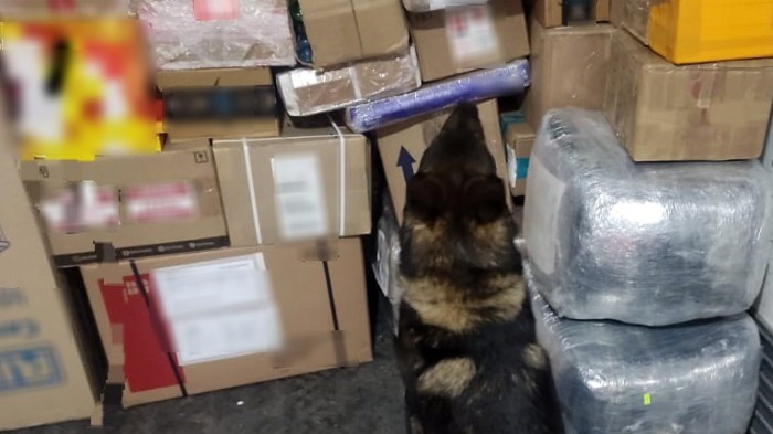 En Querétaro, Guardia Nacional detecta envíos con aparente metanfetamina líquida, cristal y marihuana