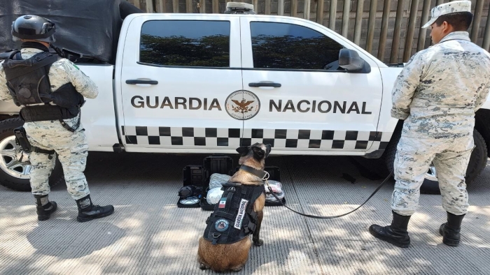 En Sinaloa, Guardia Nacional asegura paquetes con aparente marihuana ocultos en bocinas