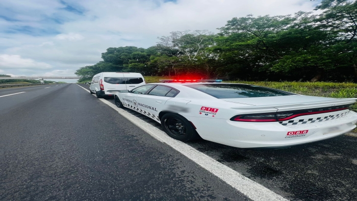 En Veracruz, Guardia Nacional rescata a loros cabeza amarilla y cariamarillo transportados de manera ilegal