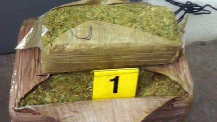 En San Luis Potosí, Guardia Nacional asegura aproximadamente 73 kilos de aparente marihuana que serían enviados por paquetería En San Luis Potosí, Guardia Nacional asegura aproximadamente 73 kilos de aparente marihuana que serían enviados por paquetería