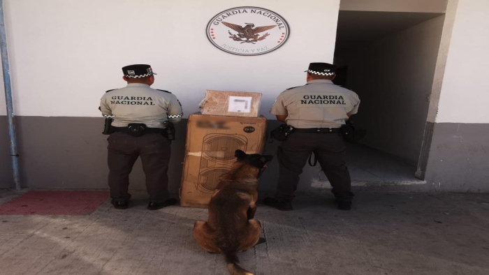 En SLP, Guardia Nacional asegura 31 kilos de aparente marihuana que pretendía ser enviada a Tamaulipas y Michoacán