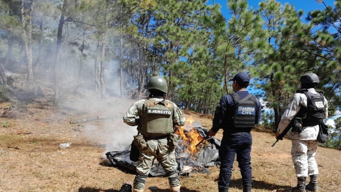 En Michoacán, Gn Y Ejército Mexicano desmantelan campamentos clandestinos y localizan más de 100 kilos de aparente marihuana