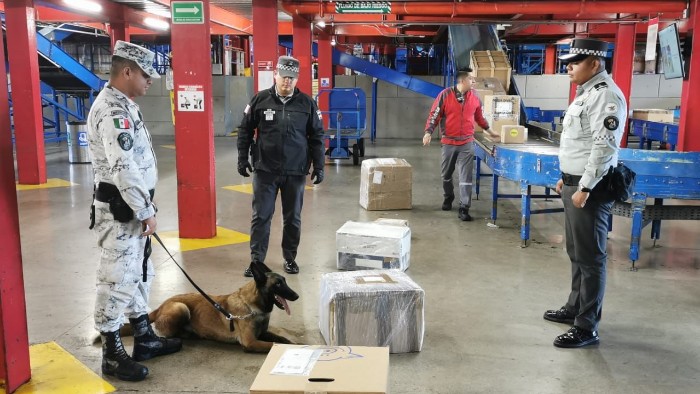 En San Luis Potosí, binomio canino de la Guardia Nacional asegura cajas con más de 17 kilos de posible marihuana