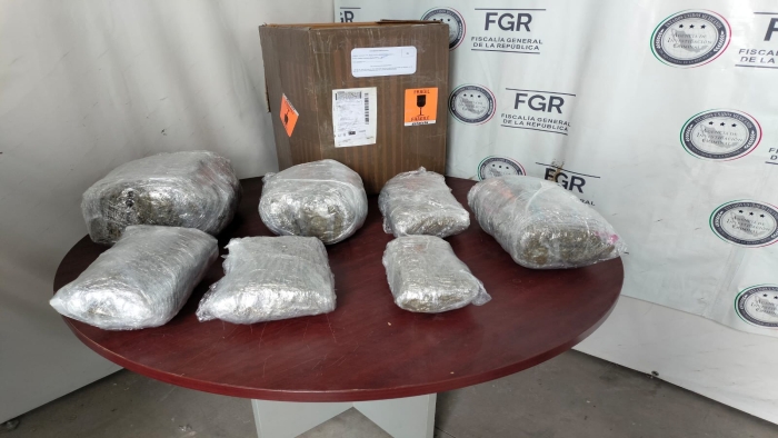 EN SLP Guardia Nacional asegura envíos con más de 8 kilos de posible marihuana en empresa de mensajería