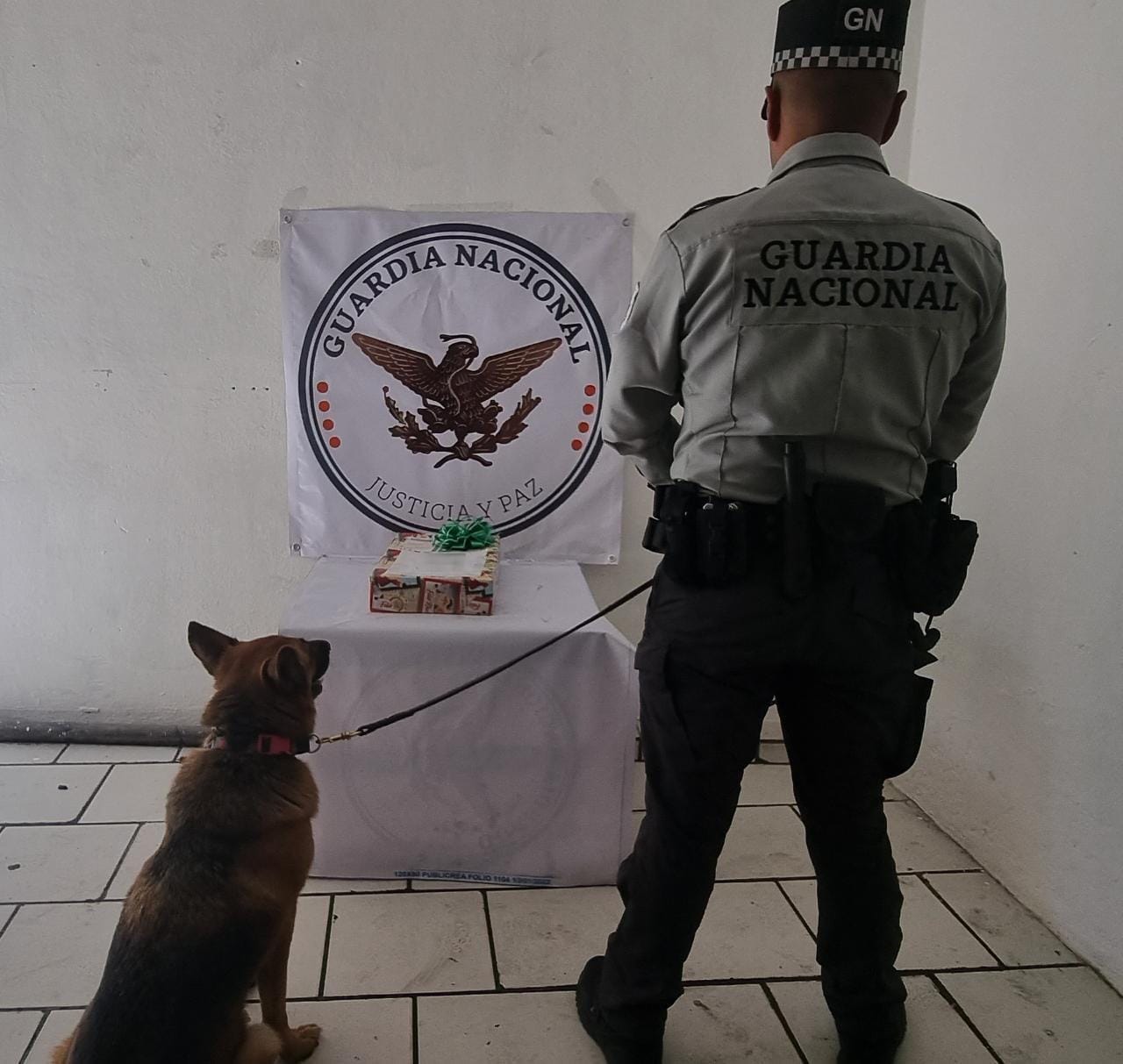 Guardia Nacional decomisa aparente marihuana durante supervisión en empresas de mensajería