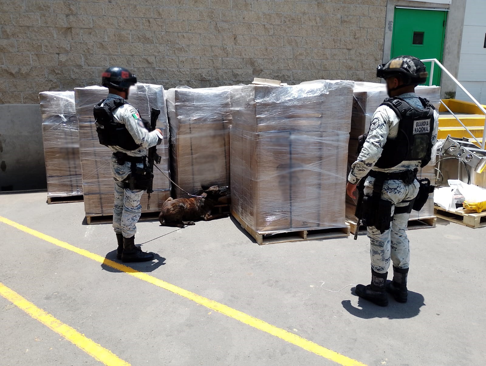 En Jalisco, Guardia Nacional asegura 639 paquetes de posible marihuana y metanfetamina ocultos entre losas de cantera